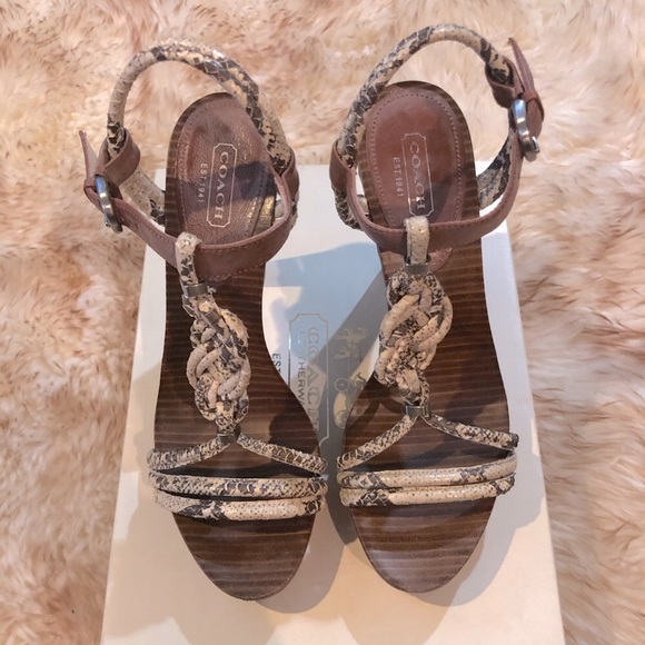 COACH Simona Snk/Waxy Lthr Sandal - Picture 5 of 8